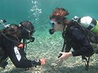 diver training pictures in cyprus