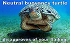 Neutral Buoyancy Turtle Disapproves of your flailing