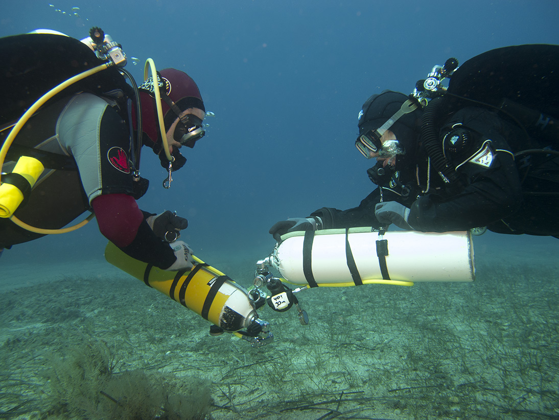 divers conducting skills with good buoyancy and trim