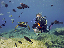 padi scuba diving course digital underwater photography