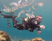 recreational diving courses in Cyprus from PADI and BSAC