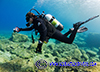 Scuba Diver taking photographs while diving in Cyprus