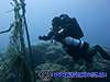 rebreather diver at the nets in Cyprus